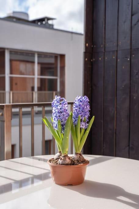 New Loft With Rooftop Terrace In The Old Town Riga Buitenkant foto
